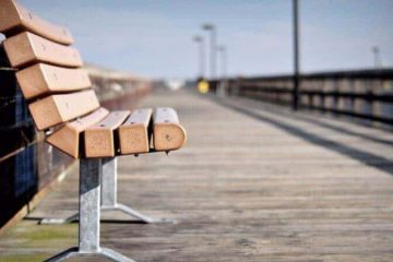 ספסלים בפארק